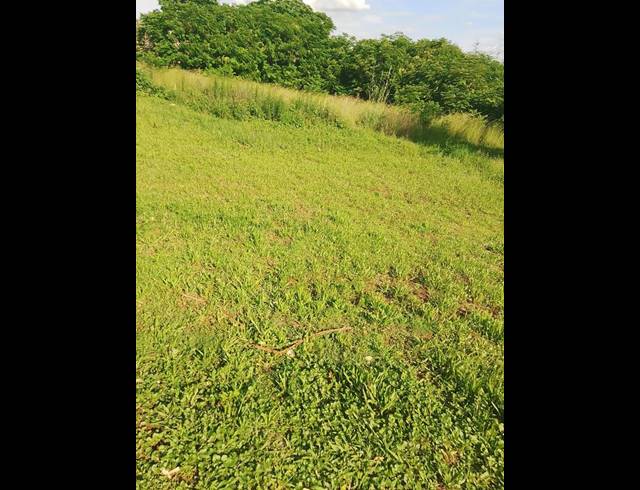 LAND FOR SALE IN LADY SELBORNE